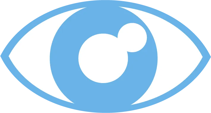 Diagram of a culture of accountability as a safeguard